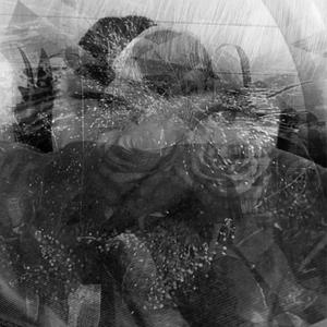 William Moore - Judas