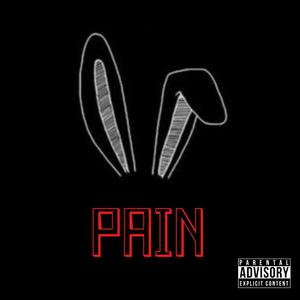 Pain (feat. Rabbitt) [Explicit]