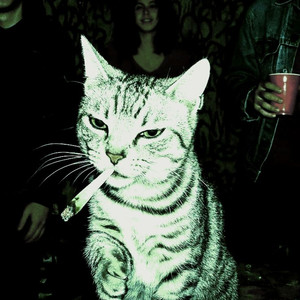 YOU MUST NOT KNOW (Explicit)