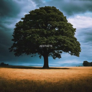 Aesthete