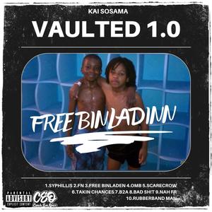 Vaulted 1.0 (FREEBINLADINN) [Explicit]