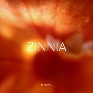 Zinnia