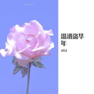 温酒盗华年封面