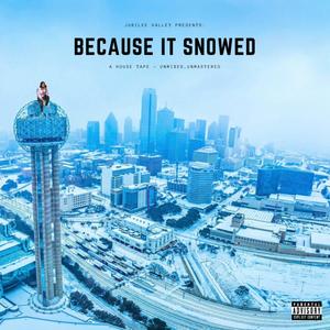 Because It Snowed (Explicit)