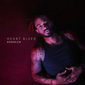 Heart Bleed (Explicit)