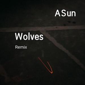 Selena Gomez-Wolves ( Bootleg ) (ASun remix)