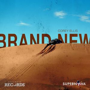BRAND NEW (Explicit)