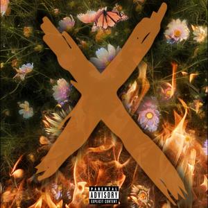 X (Explicit)