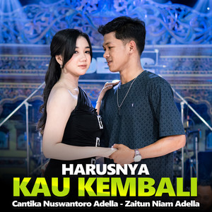 Harusnya Kau Kembali