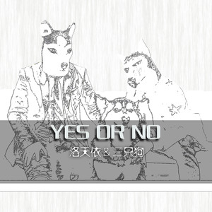 YES OR NO