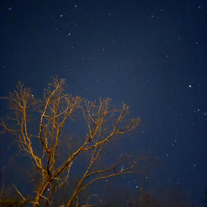 Don't Fail Me (feat. Zeus Rebel Waters)