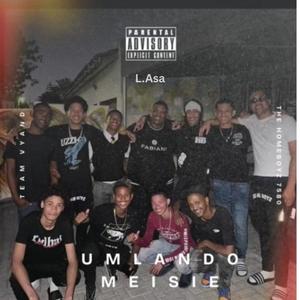 Umlando Meisie (feat. Mr Tapout, Team Vyand & The Homeboyz 7580)