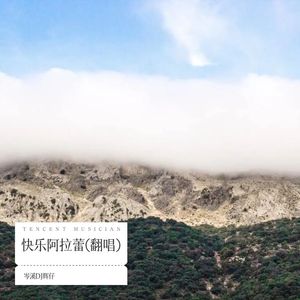 爱情错觉 (岑溪DJ辉仔 remix)封面