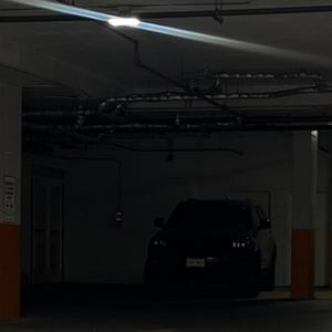 She Fried (Explicit)