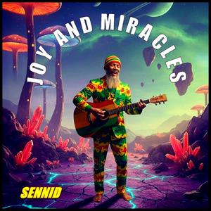 JOY AND MIRACLES