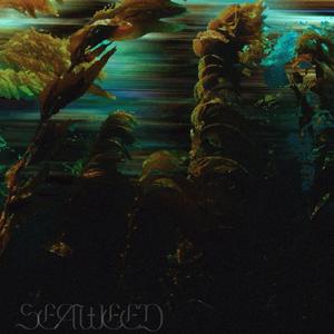 Seaweed (feat. Guti:., Jadedloner & Procaine) [Explicit]