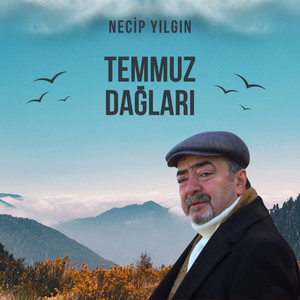 Temmuz Dağları