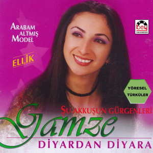 Diyardan Diyara/Arabam Altmis Model