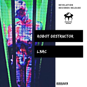 Robot Destructor