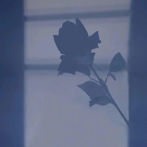 星月神话