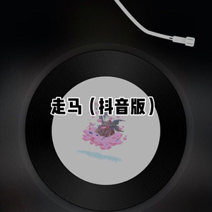 再也不会遇见第二个她