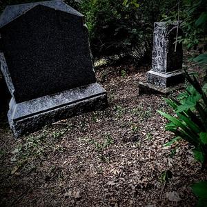 Shark Fins In The Blue Ocean (Explicit)