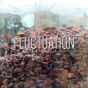 Fluctuation