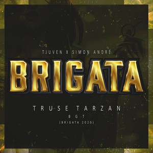 Brigata 2020(Bgt)