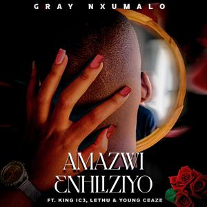 AMAZWI EHLIZIYO (feat. King ic3 & Lethu) (Explicit)