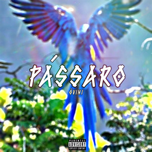 Pássaro (Explicit)