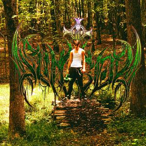 I HEAR VOICES (Explicit)