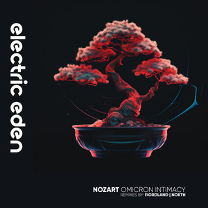Omicron Intimacy (Northcat Remix)
