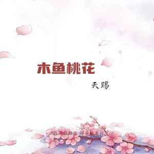 天赐 - 木鱼桃花 (伴奏)
