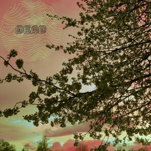 Dead (feat. Zach Brass & Chrispy)