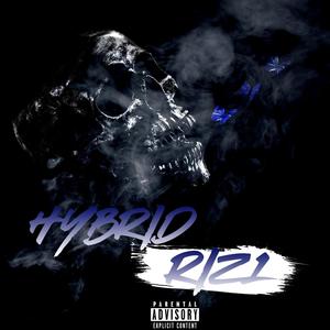 Hybrid (Explicit)