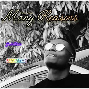 Many Reasons