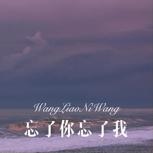 想你的夜-DJ丧妹