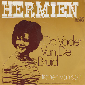 De Vader Van De Bruid