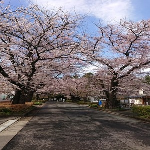 Save the Soul (feat. 初音ミク)