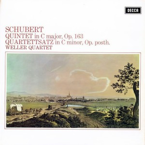 Franz Schubert: Quartettsatz in C Minor (Allegro Assai)
