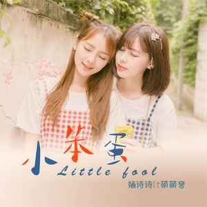 小笨蛋