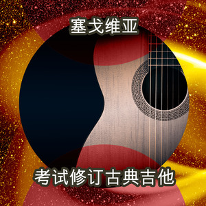 Concerto for Guitar and Strings in A Major, Op. 8 - Concerto for Guitar and Strings in A Major, Op. 8: Allegro