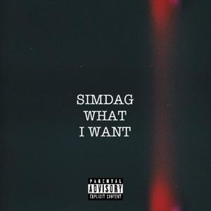 WHAT I WANT (Explicit)