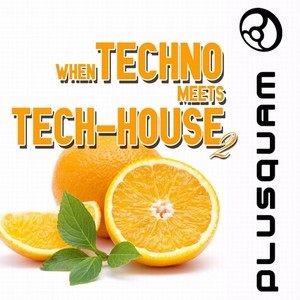 When Techno Meets Tech-House, Vol. 2