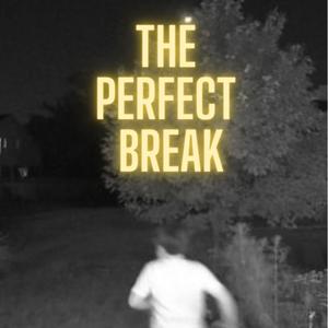 The Perfect Break