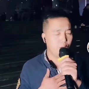 我爱我的重庆城