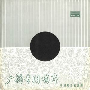 手拿枪心向党封面