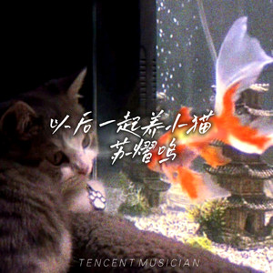 Insomnia (混响版)