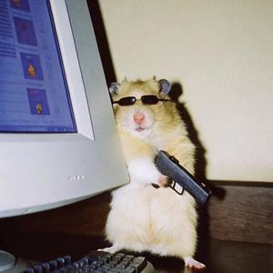 i guess i make indie rock now