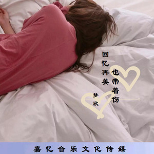 回忆再美也带着伤